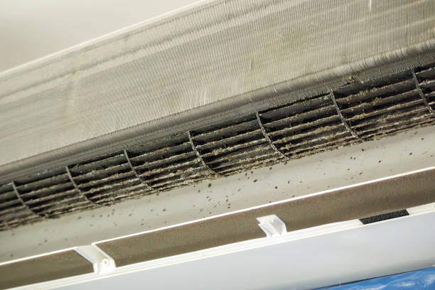 Best Air Duct Cleaning Company Near Me  in Cashion, OK